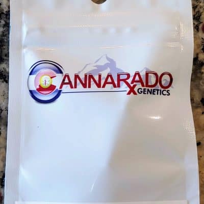 CANNARADO_GENETICS_BIRTHDAY_PIE_LUSCIOUS_GENETICS