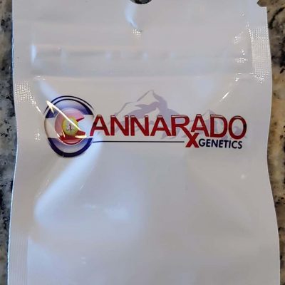 CANNARADO_GENETICS_CAIPIRINHA_LUSCIOUS_GENETICS