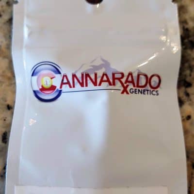 CANNARADO_GENETICS_COOKIE_DOUGH_SUNDAE_LUSCIOUS_GENETICS