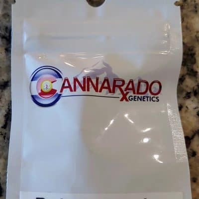 CANNARADO_GENETICS_DUBBLE_SUNDAE_LUSCIOUS_GENETICS