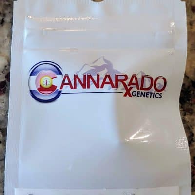 CANNARADO_GENETICS_GOODNIGHT_MOON_LUSCIOUS_GENETICS