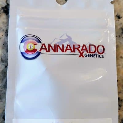 CANNARADO_GENETICS_HERB_LUSCIOUS_GENETICS