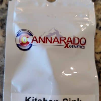 CANNARADO_GENETICS_KITCHEN_SINK_LUSCIOUS_GENETICS