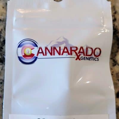 CANNARADO_GENETICS_MEAT_PIE_LUSCIOUS_GENETICS