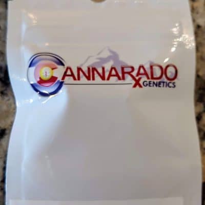 CANNARADO_GENETICS_PAPUSAS_LUSCIOUS_GENETICS