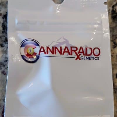 CANNARADO_GENETICS_PARTY_FOUL_LUSCIOUS_GENETICS