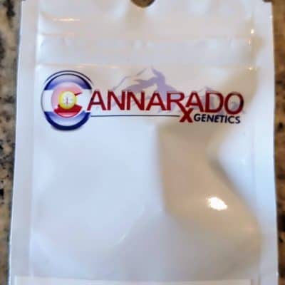 CANNARADO_GENETICS_SASHA_LUSCIOUS_GENETICS