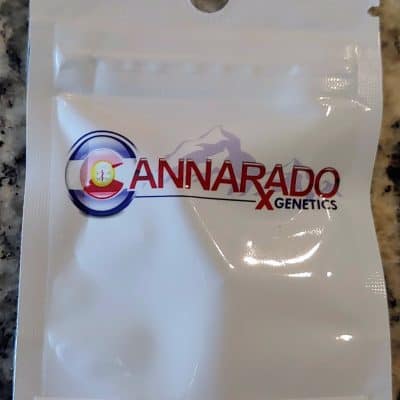 CANNARADO_GENETICS_SOUR_SUNDAE_LUSCIOUS_GENETICS
