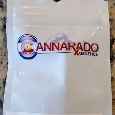 CANNARADO_GENETICS_SUNDAE_STRUEDEL_LUSCIOUS_GENETICS