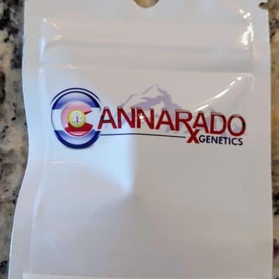 CANNARADO_GENETICS_TERP_TOWN_LUSCIOUS_GENETICS