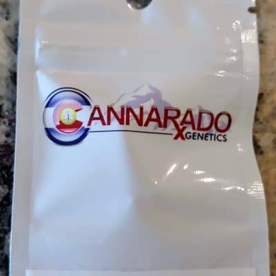 CANNARADO_GENETICS_TWINS_LUSCIOUS_GENETICS