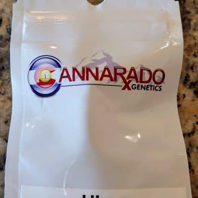 CANNARADO_GENETICS_UBER_LUSCIOUS_GENETICS