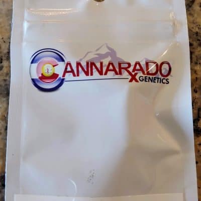 CANNARADO_GENETICS_WEED_NAP_LUSCIOUS_GENETICS