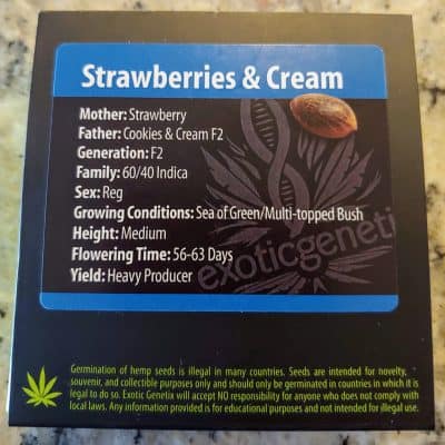 EXOTIC_GENETIX_STRAWBERRYANDCREAM_LUSCIOUS_GENETICS