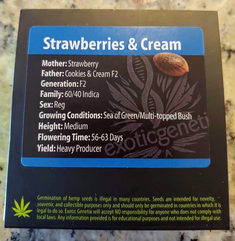 Exotic Strawberries & Cream F2 Luscious