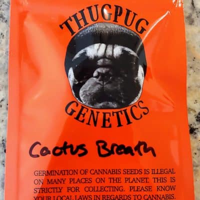 THUGPUG_GENETICS_CACTUS_BREATH_LUSCIOUS_GENETICS