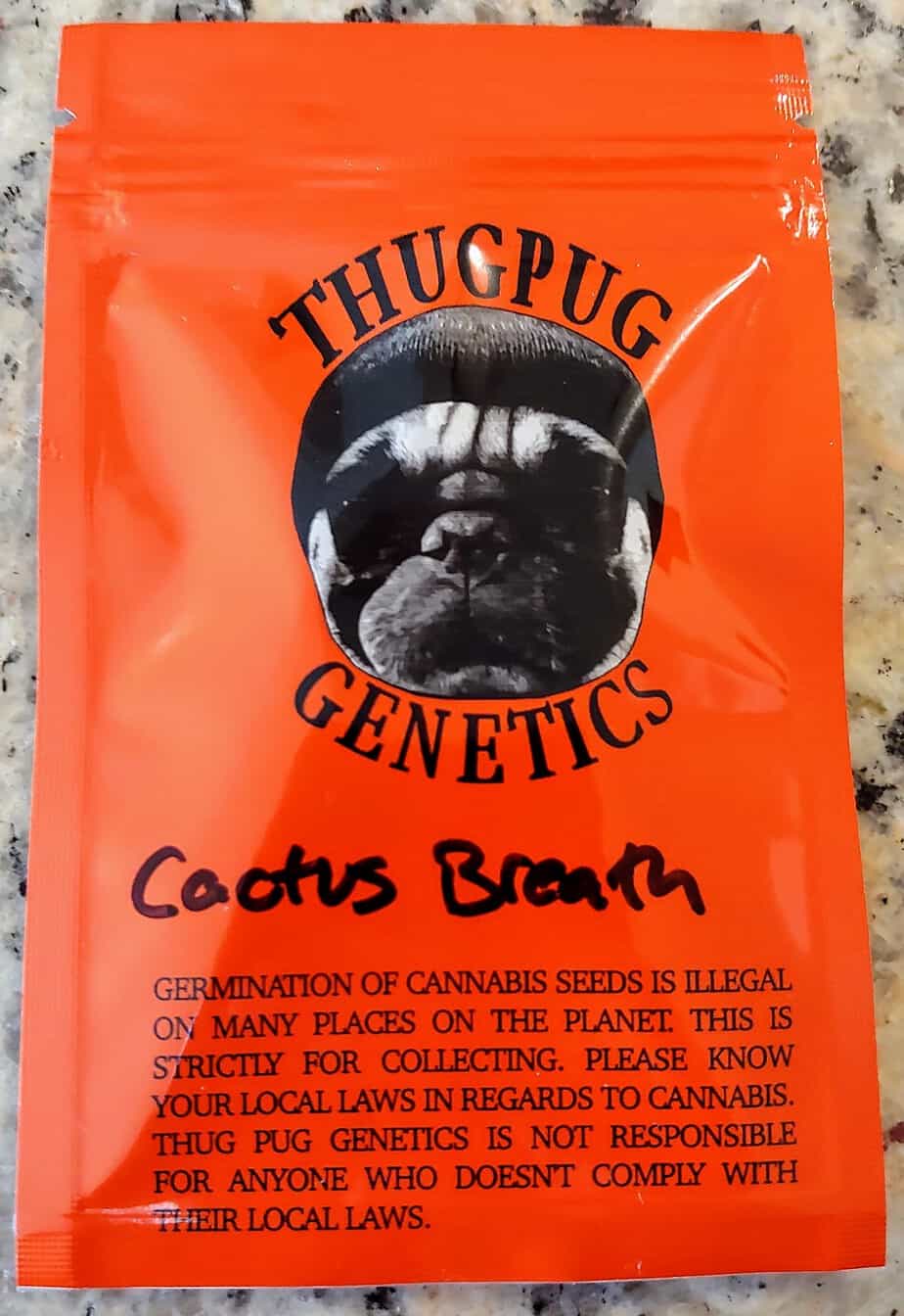 THUGPUG_GENETICS_CACTUS_BREATH_LUSCIOUS_GENETICS
