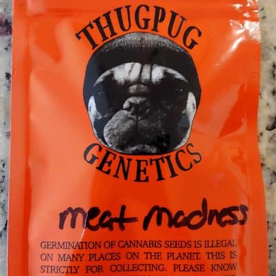 THUGPUG_GENETICS_MEAT_MADNESS_LUSCIOUS_GENETICS