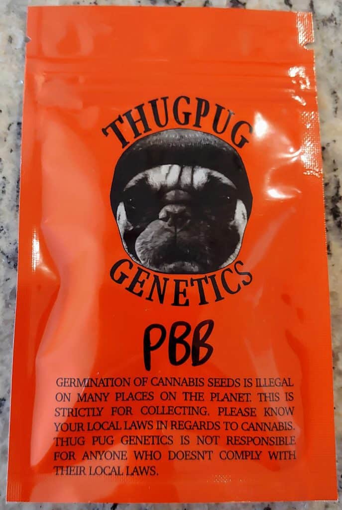 Thug Pug Peanut Butter Breath Luscious