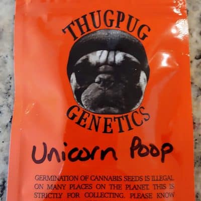 THUGPUG_GENETICS_UNICORN_POOP_LUSCIOUS_GENETICS