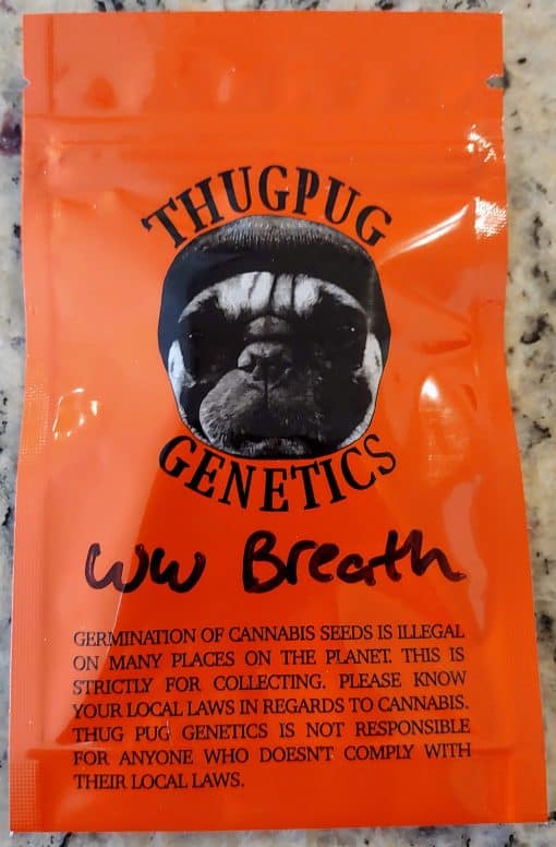 THUGPUT_GENETICS_WW_BREATH_LUSCIOUS_GENETICS