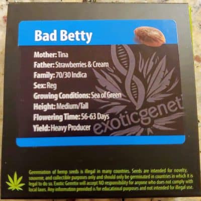 EXOTIC_GENETIX_BAD_BETTY_LUSCIOUS_GENETICS