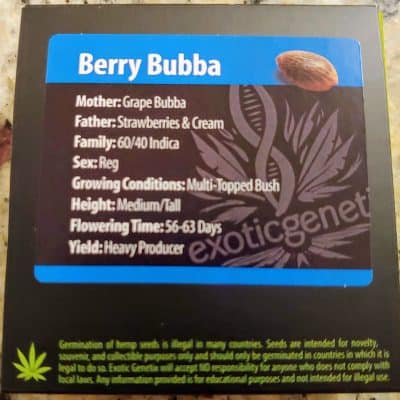 EXOTIC_GENETIX_BERRY_BUBBA_LUSCIOUS_GENETICS
