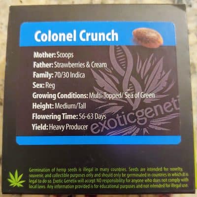 EXOTIC_GENETIX_COLONEL_CRUNCH_LUSCIOUS_GENETICS