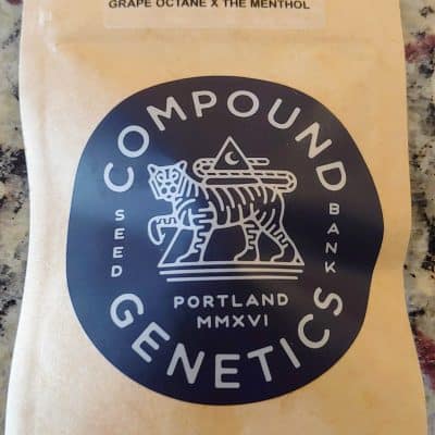 COMPOUND_GENETICS_COOL_GRAPES_LUSCIOUS_GENETICS