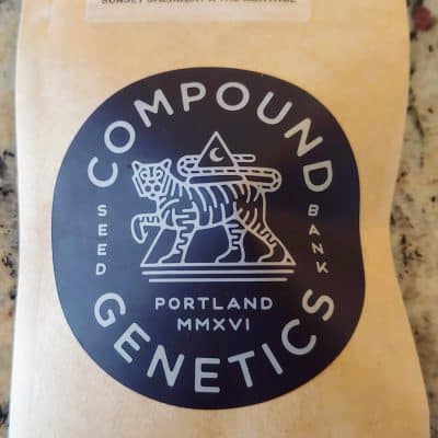 COMPOUND_GENETICS_MINT_SHERBERT_LUSCIOUS_GENETICS