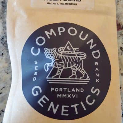 COMPOUND_GENETICS_TIGER_BOMB_LUSCIOUS_GENETICS