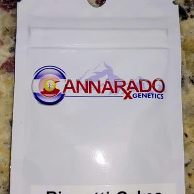 CANNARADO_GENETICS_BISCOTTI_CAKES_LUSCIOUS_GENETICS