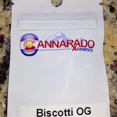 CANNARADO_GENETICS_BISCOTTI_OG_LUSCIOUS_GENETICS
