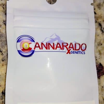 CANNARADO_GENETICS_CHERRY_BISCOTTI_SUNDAE_LUSCIOUS_GENETICS