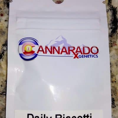 CANNARADO_GENETICS_DAILY_BISCOTTI_LUSCIOUS_GENETICS