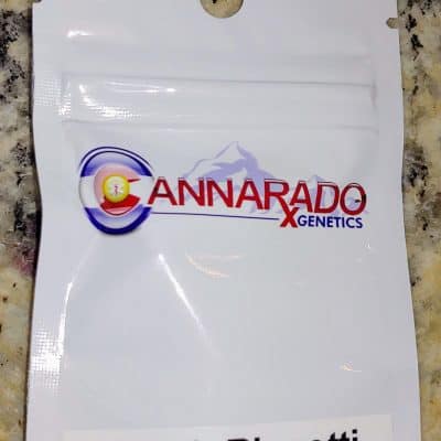 CANNARADO_GENETICS_FRESH_BISCOTTI_LUSCIOUS_GENETICS