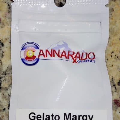 CANNARADO_GENETICS_GELATO_MARGY_LUSCIOUS_GENETICS