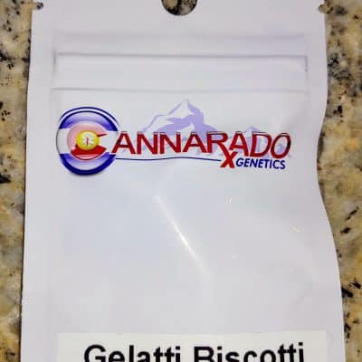 CANNARADO_GENETICS_GELATTI_BISCOTTI_LUSCIOUS_GENETICS
