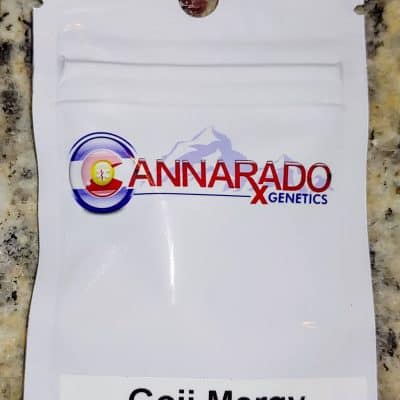 CANNARADO_GENETICS_GOJI_MARGY_LUCIOUS_GENETICS