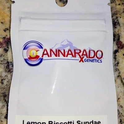 CANNARADO_GENETICS_LEMON_BISCOTTI_SUNDAE_LUSCIOUS_GENETICS