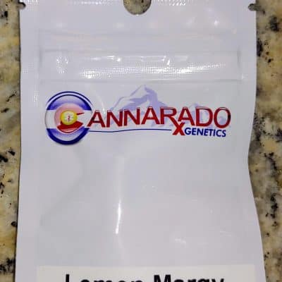 CANNARADO_GENETICS_LEMON_MARGY_LUSCIOUS_GENETICS