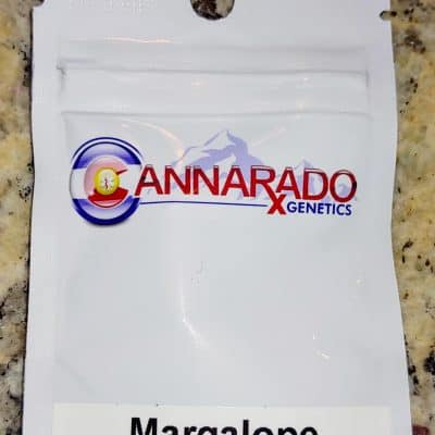 CANNARADO_GENETICS_MARGALOPE_LUSCIOUS_GENETICS