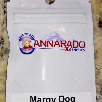 CANNARADO_GENETICS_MARGY_DOG_LUSCIOUS_GENETICS