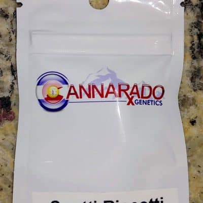 CANNARADO_GENETICS_SCOTTI_BISCOTTI_LUSCIOUS_GENETICS