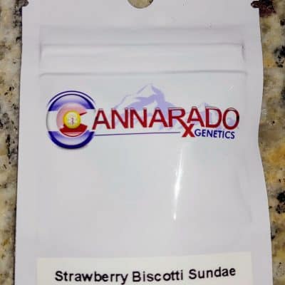 CANNARADO_GENETICS_STRAWBERRY_BISCOTTI_SUNDAE_LUSCIOUS_GENETICS