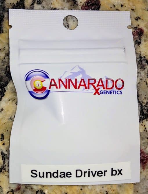 CANNARADO_GENETICS_SUNDAE_DRIVER_BX_LUSCIOUS_GENETICS