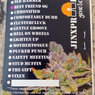 JINXPROOF_GENETICS_BEST_FRIEND_OG_LUSCIOUS_GENETICS