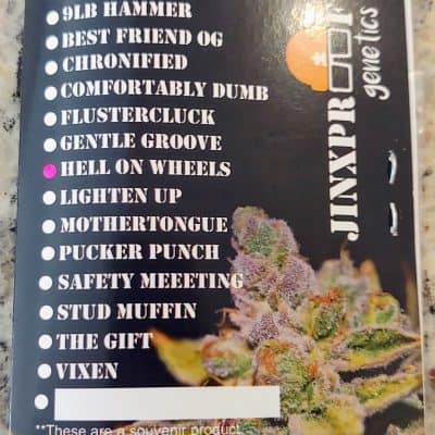 JINXPROOF_GENETICS_HELL_ON_WHEELS_LUSCIOUS_GENETICS