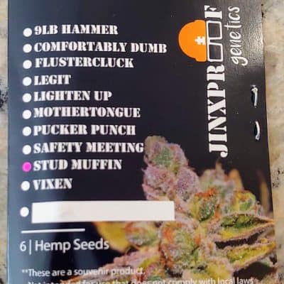 JINXPROOF_GENETICS_STUD_MUFFIN_LUSCIOUS_GENETICS