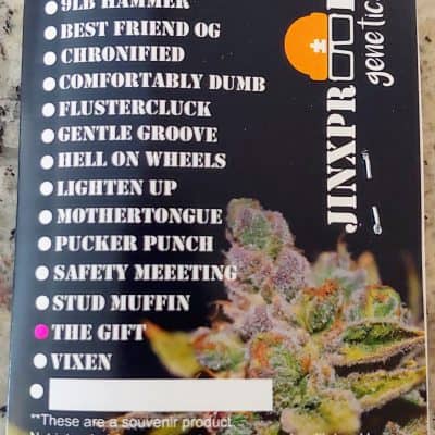 JINXPROOF_GENETICS_THE_GIFT_LUSCIOUS_GENETICS